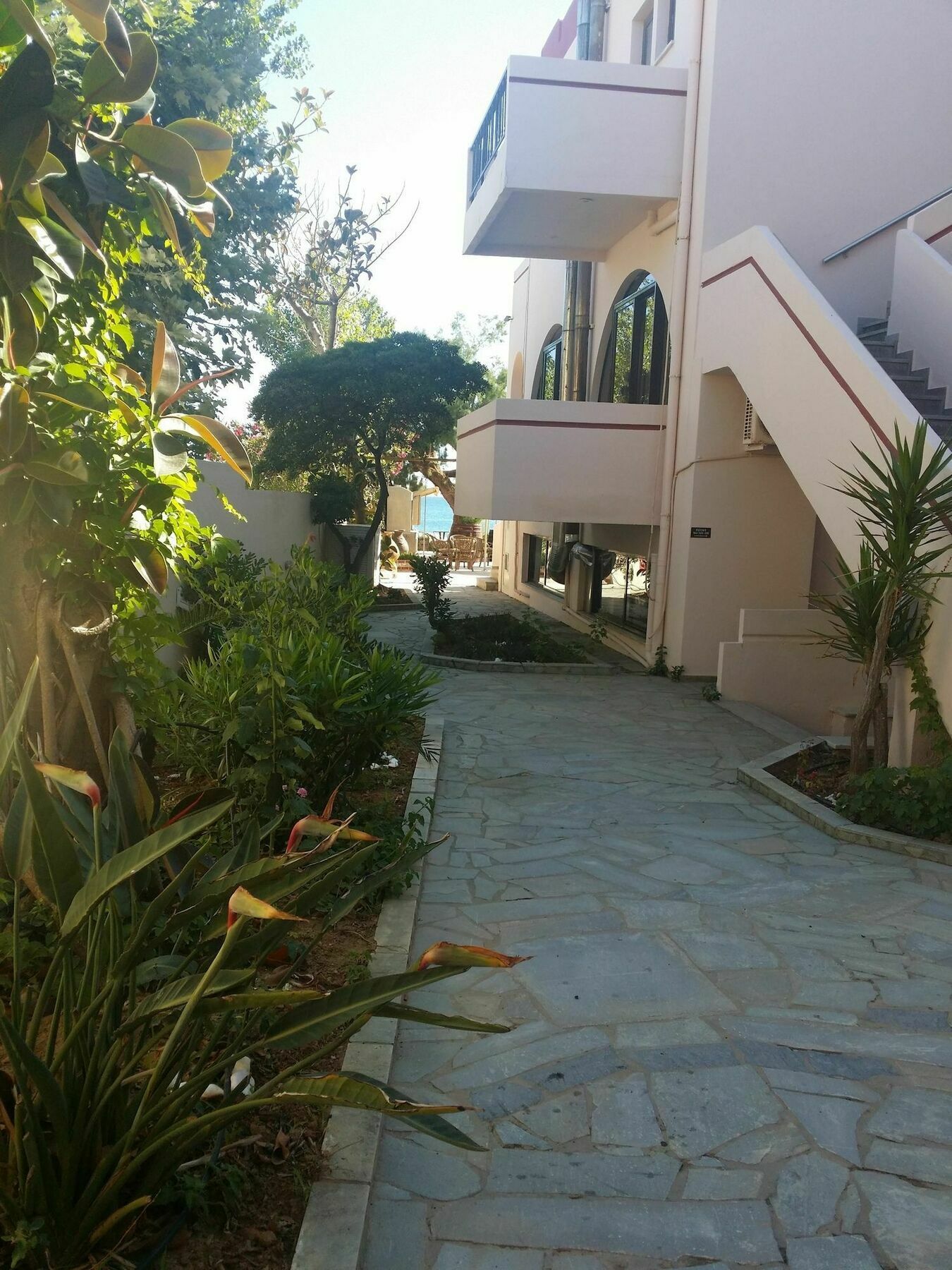 Minerva Beach Agia Marina  Exterior photo